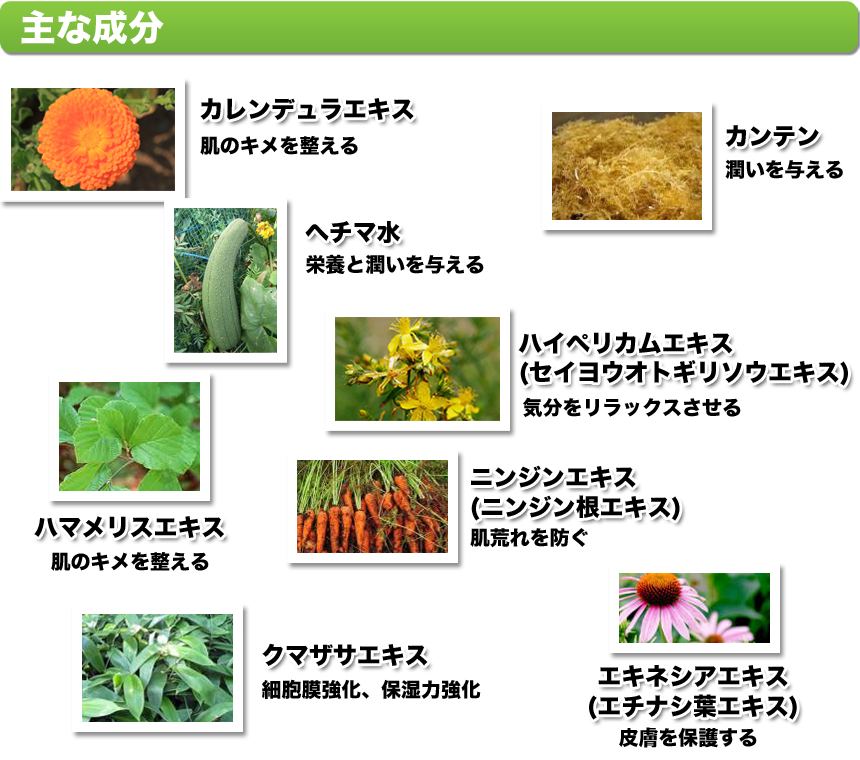 カレンデュラオールインワンジェルの主な成分